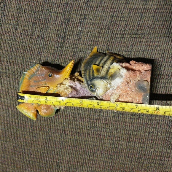 Fish what knot😇 - Picture 6 of 7